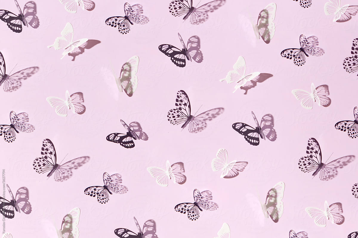 Paper butterflies on pink