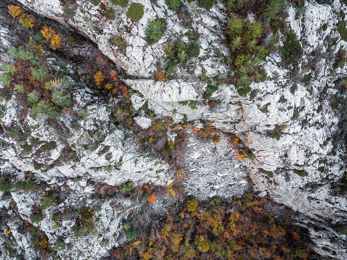 Overhead of Rocky Mountain Cliff with Autumn Forest