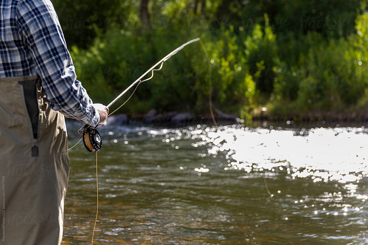 Backlit Fly Fishing Provo River Utah in United States