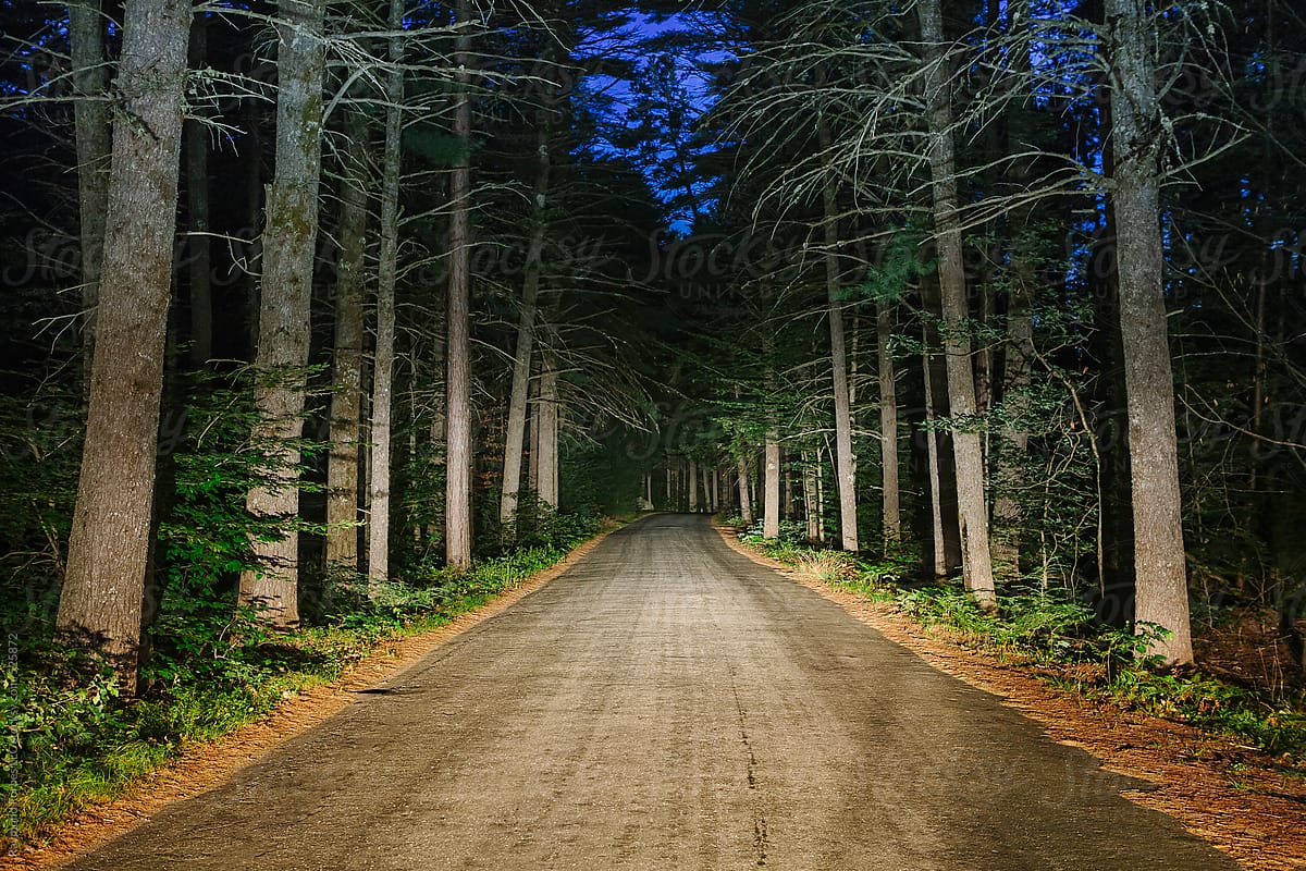 Spooky Creepy Rural Road in woods at night