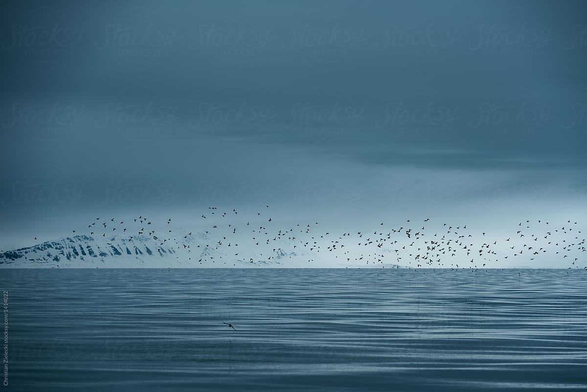 Flock of birds flying over ocean against cloudy sky