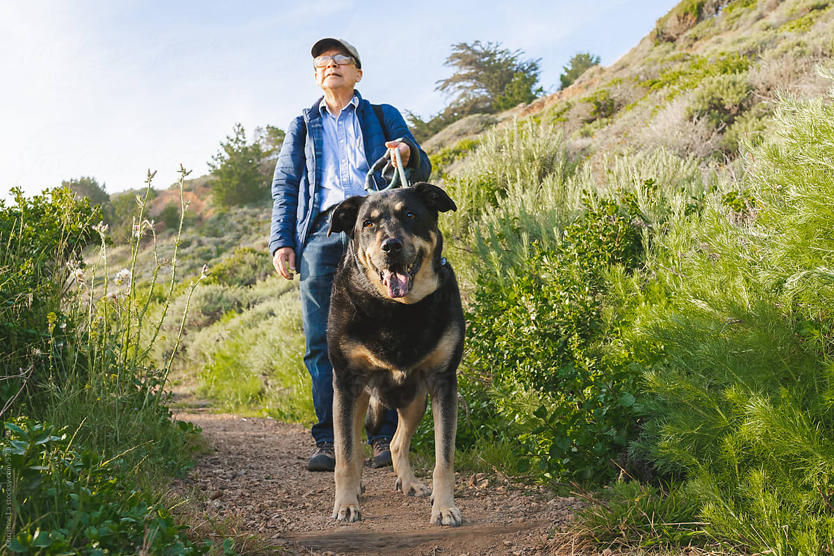 Elderly man hiking with his dog