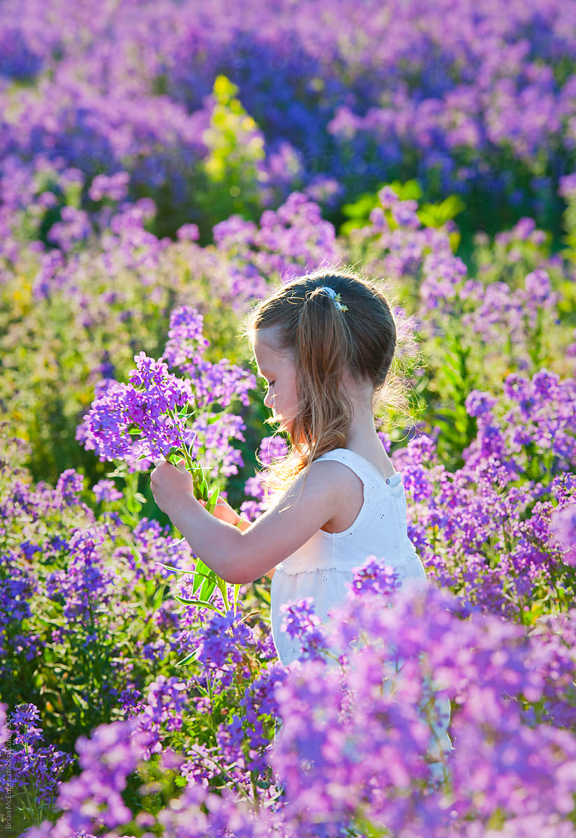 Young girl in white dress, sun kissed, moving through Lavendar