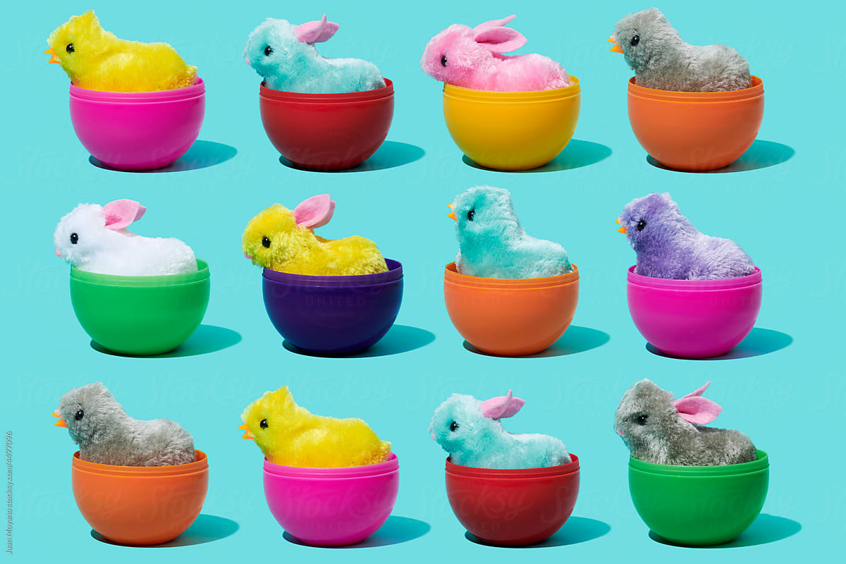 chicks and easter bunnies in plastic eggs