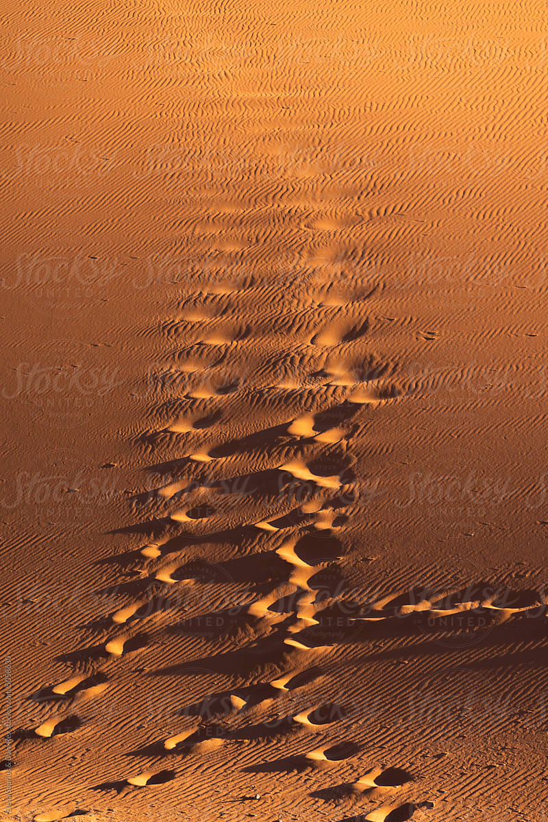 Footsteps in the sand inside the dune