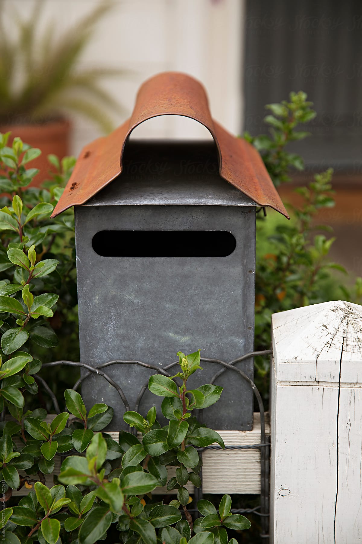 Front yard close up of letter box in Australia