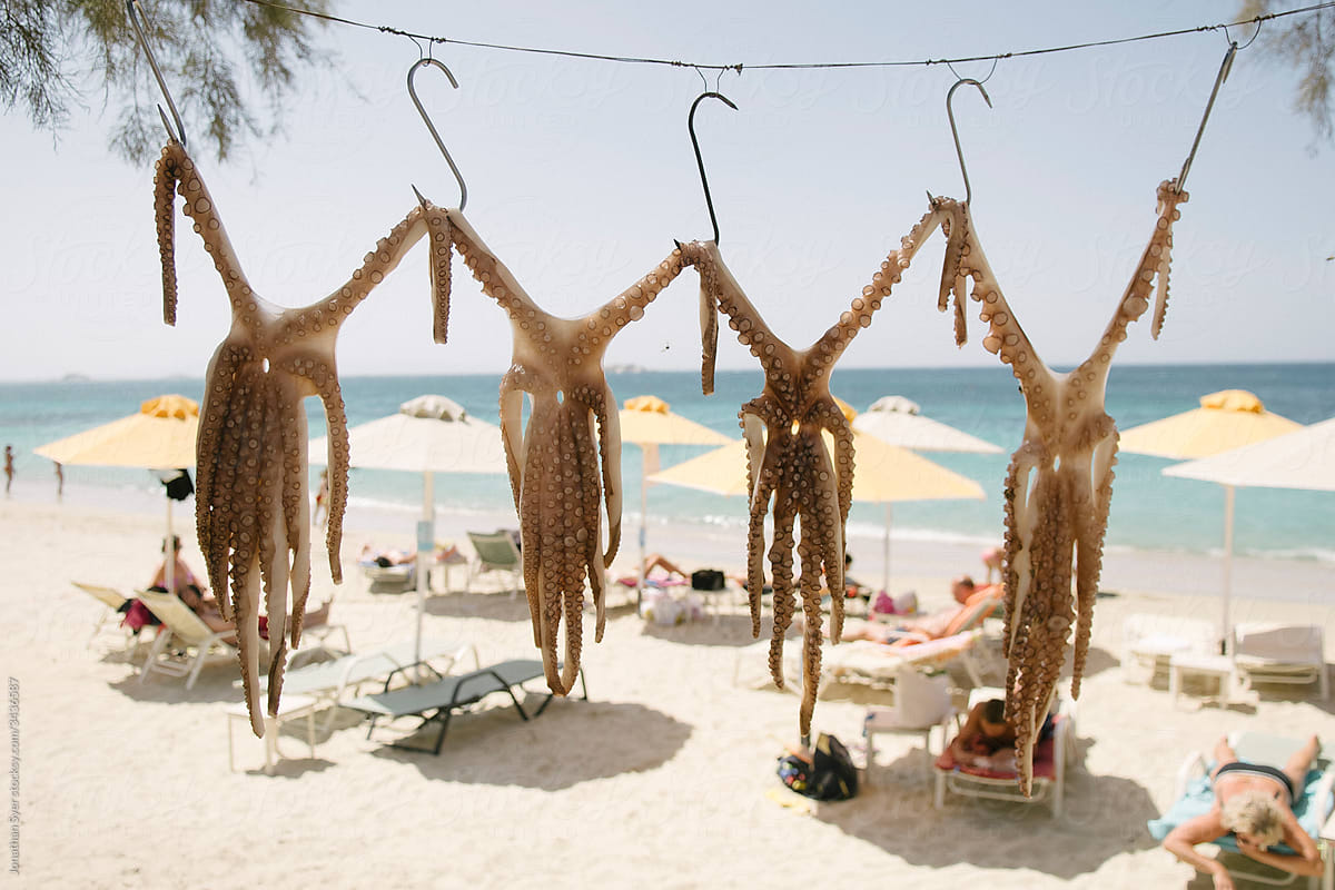 Octopuses drying in the hot sunshine. Naxos, Greece.