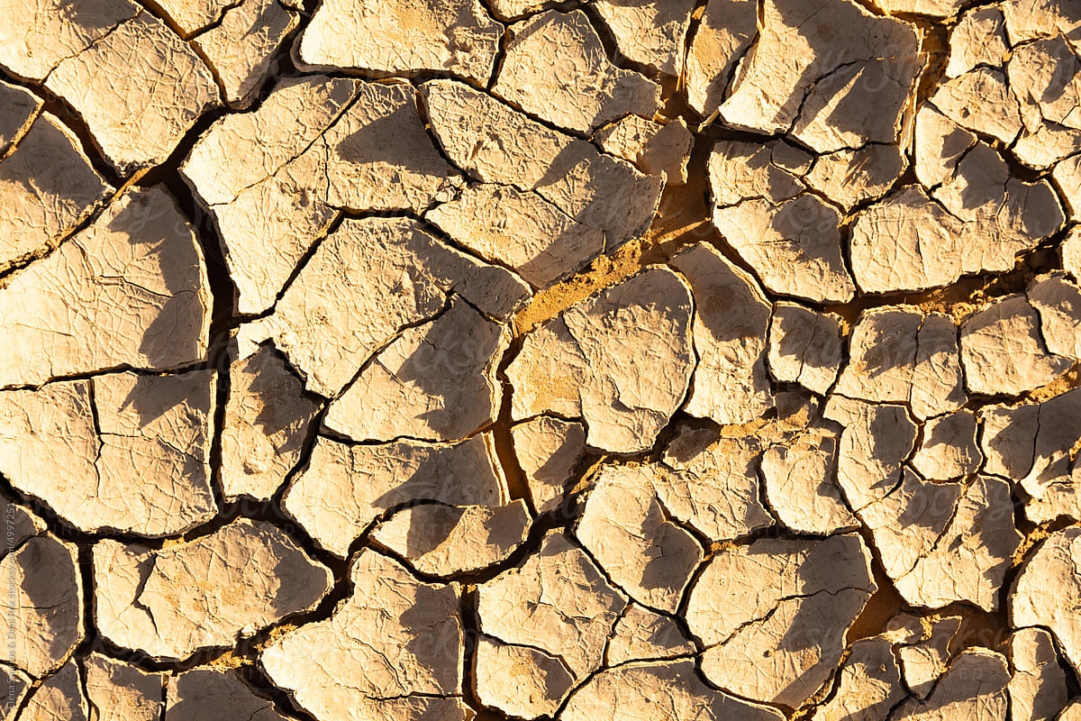 Dry ground textures in Erg Chebbi, Sahara desert.