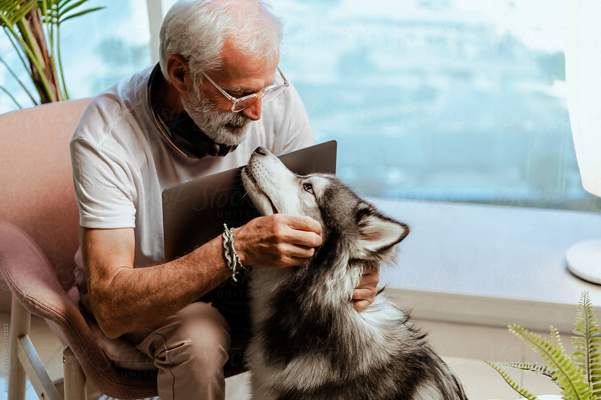 Older man petting Husky at home.