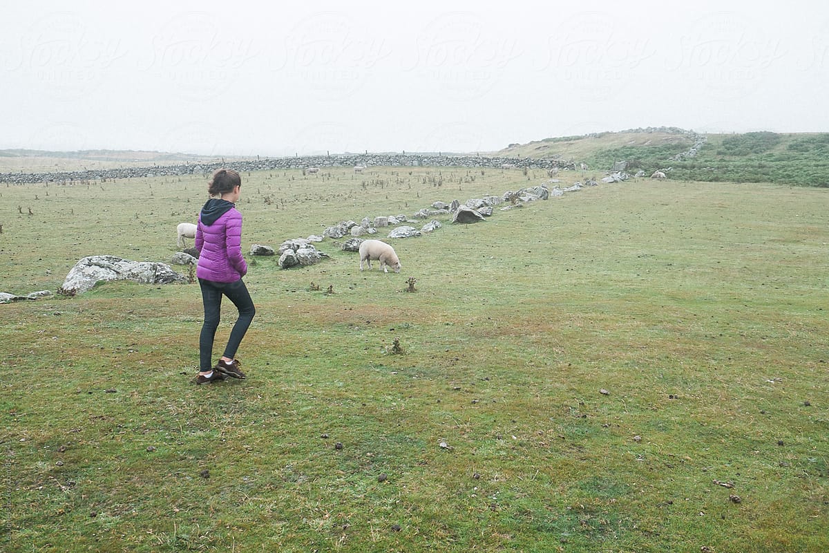 Young woman hiking next to sheep