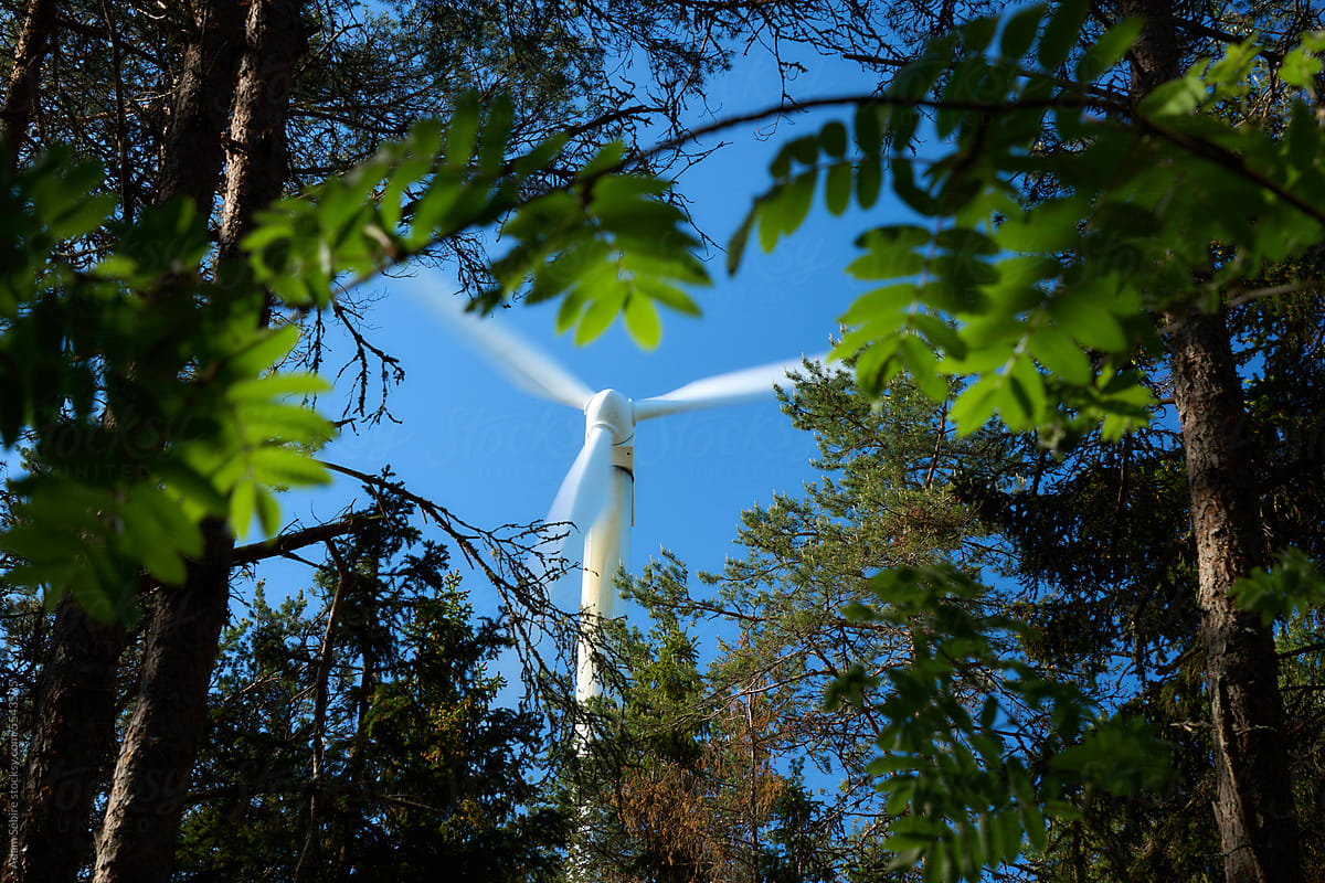 Environmental impact - tall wind turbine through forest green trees