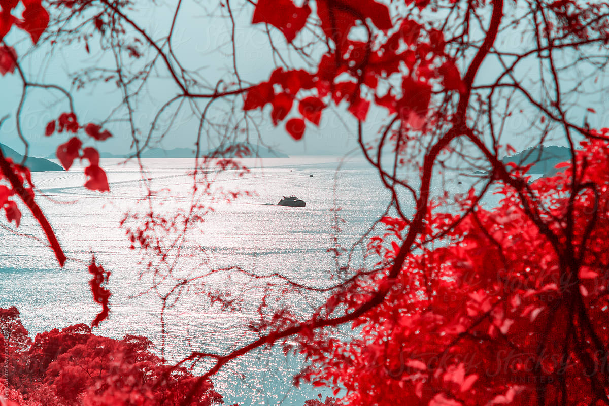 Infrared photography of sea, mountain, tree, boat.