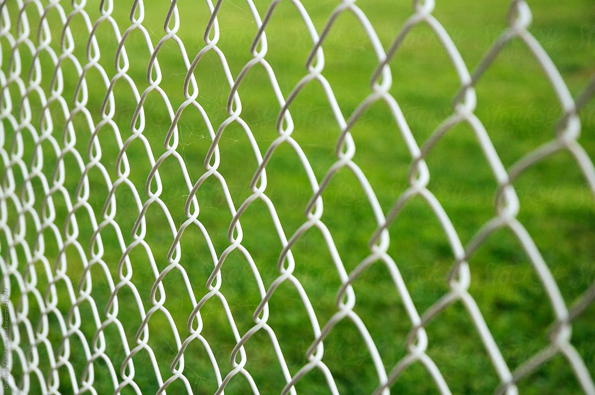 White wired fence in front of green grass