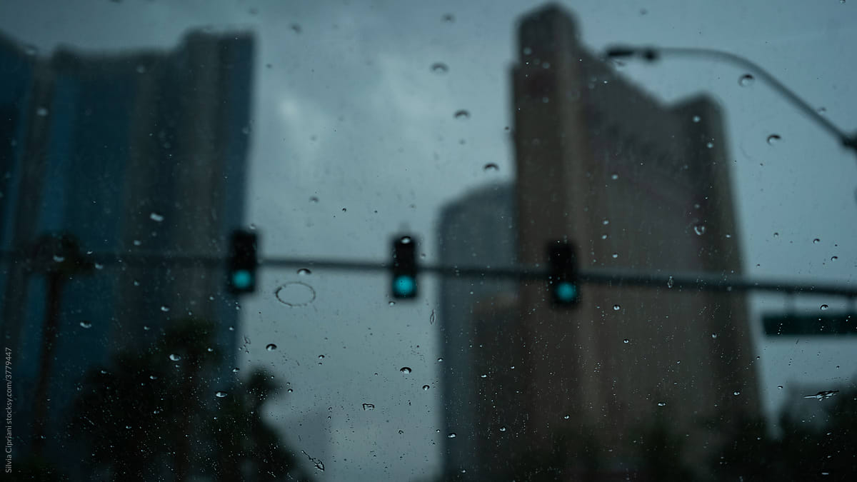 Rainy day from a car in a big city