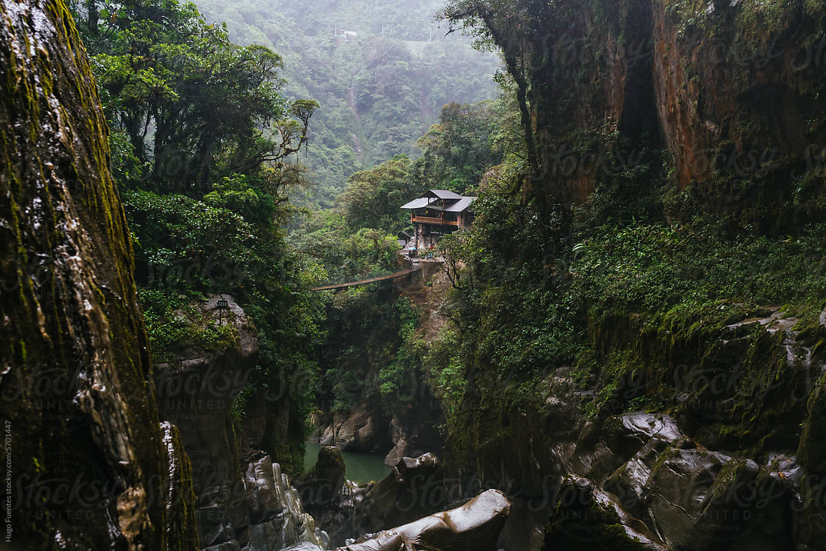 Scenic landscape in the Ecuador forest