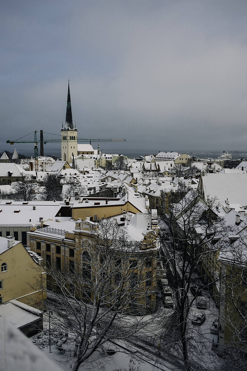 Snowy Serenity in Tallinn\'s Old Town