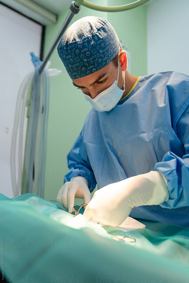 Male veterinarian in a surgery.