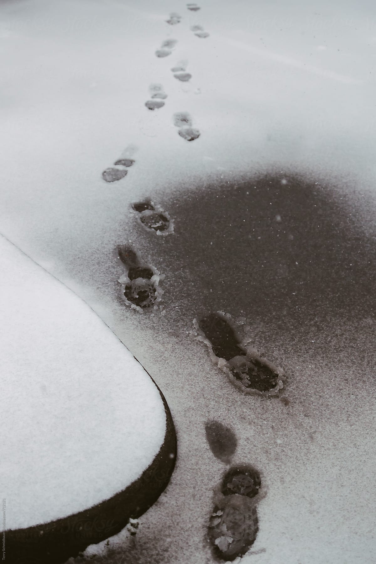 Foot Prints in the Snow