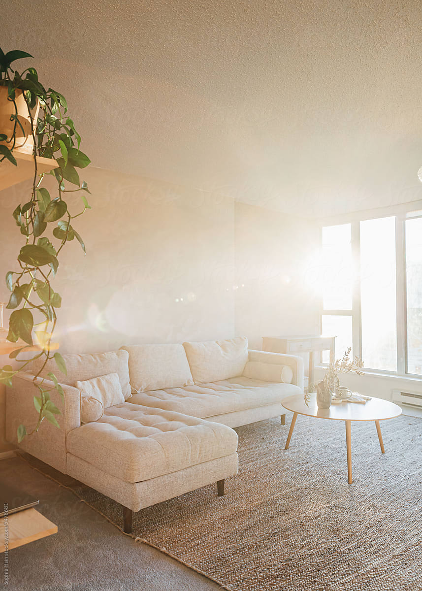 Cozy living room during golden hour