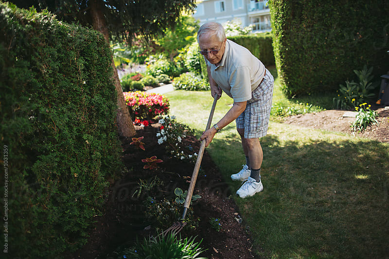 Happy, older caucasian man gardening on sunny day