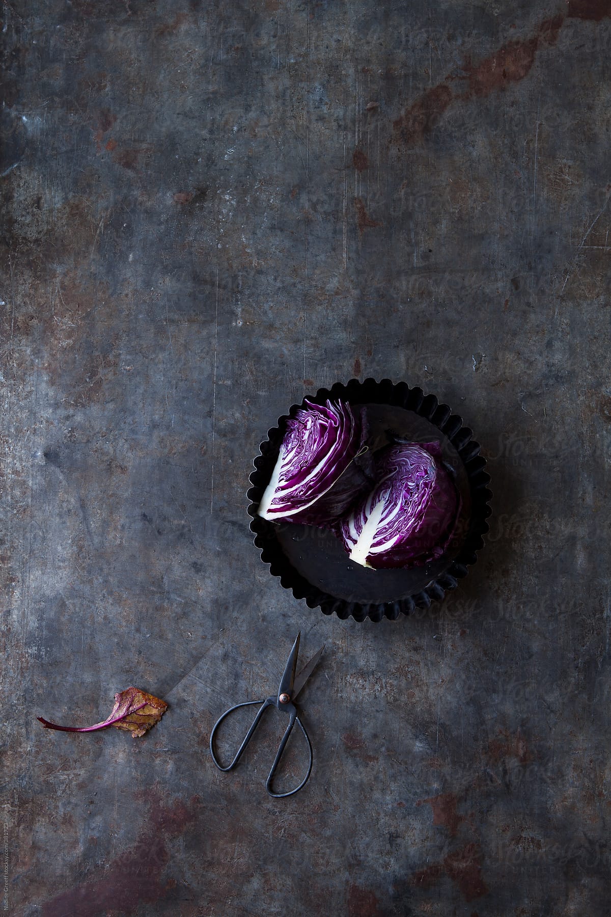 Red or Purple Cabbage with copyspace
