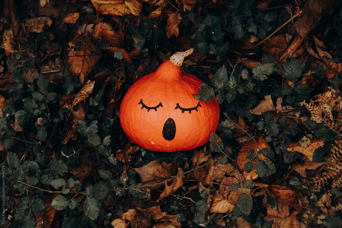 pumpkin with a surprised face painted in the forest