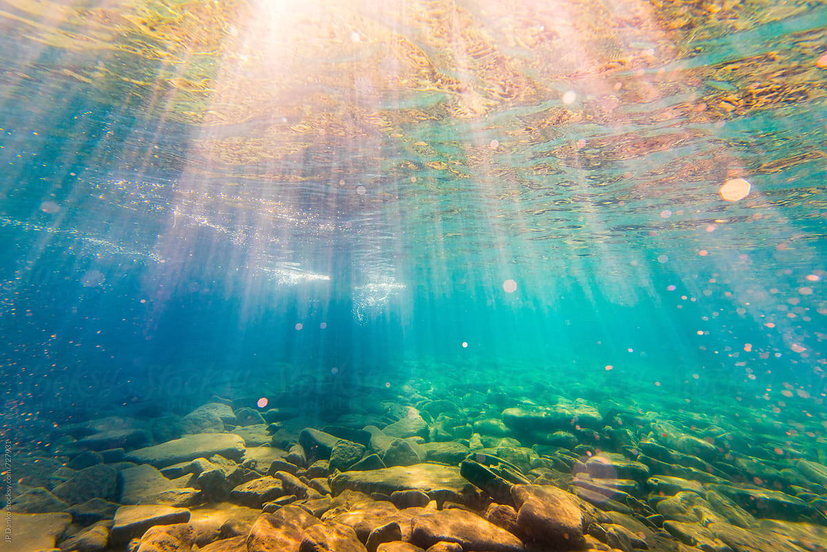 Underwater Photo Of Crystal Clear Freshwater Lake Landscape On