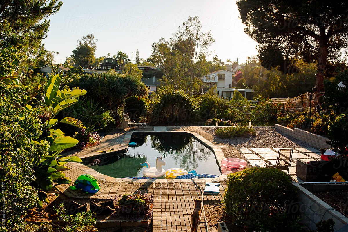 Beautiful urban backyard pool