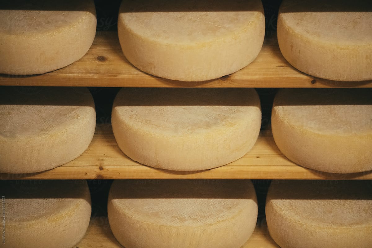 Aging cheese in a cellar