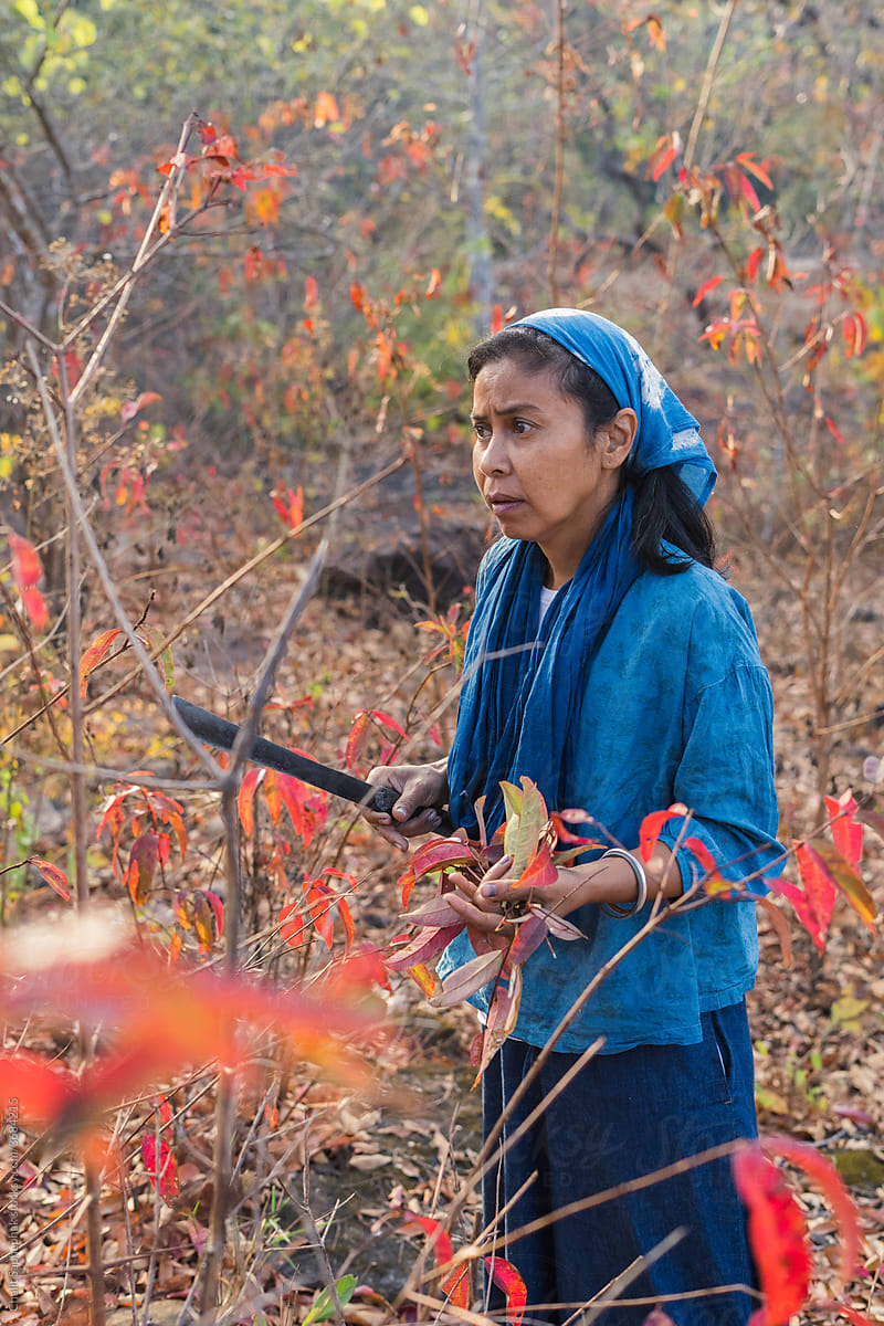 Woman harvesting red leaves