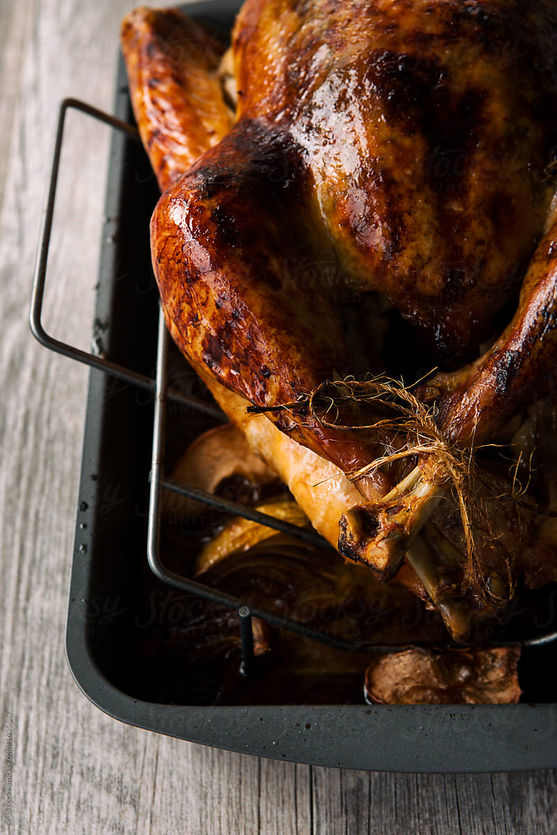 Thanksgiving: Legs Tied Back On Roasted Turkey