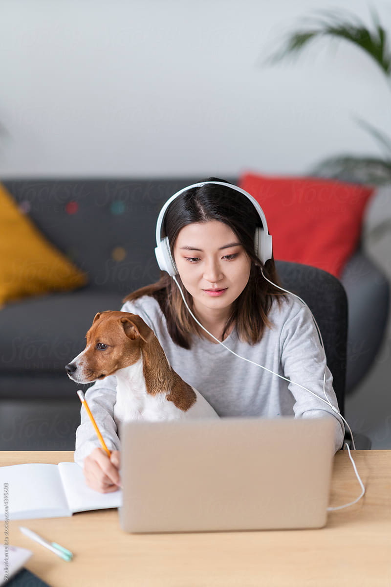 Woman studying at home with dog