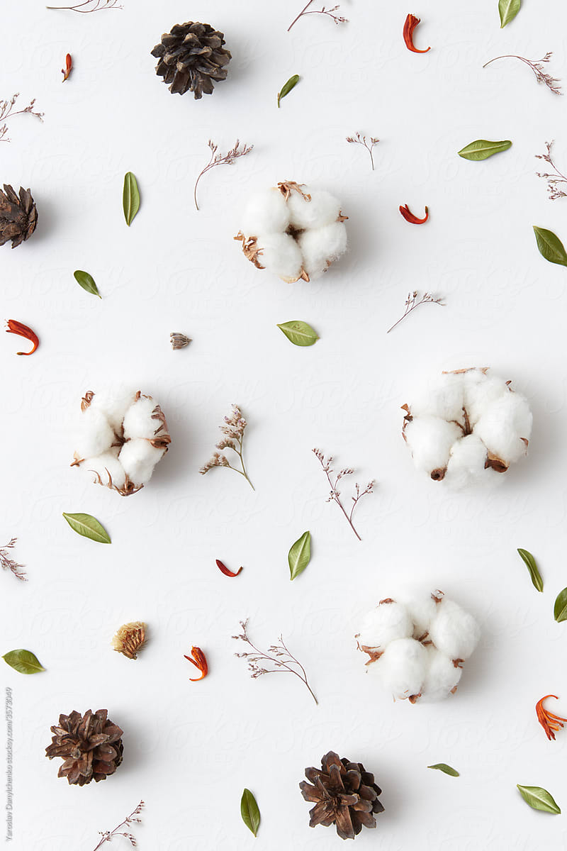 Dried cotton flowers, cones and twigs