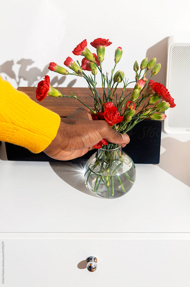 Hand puts a vase with red flowers on the table