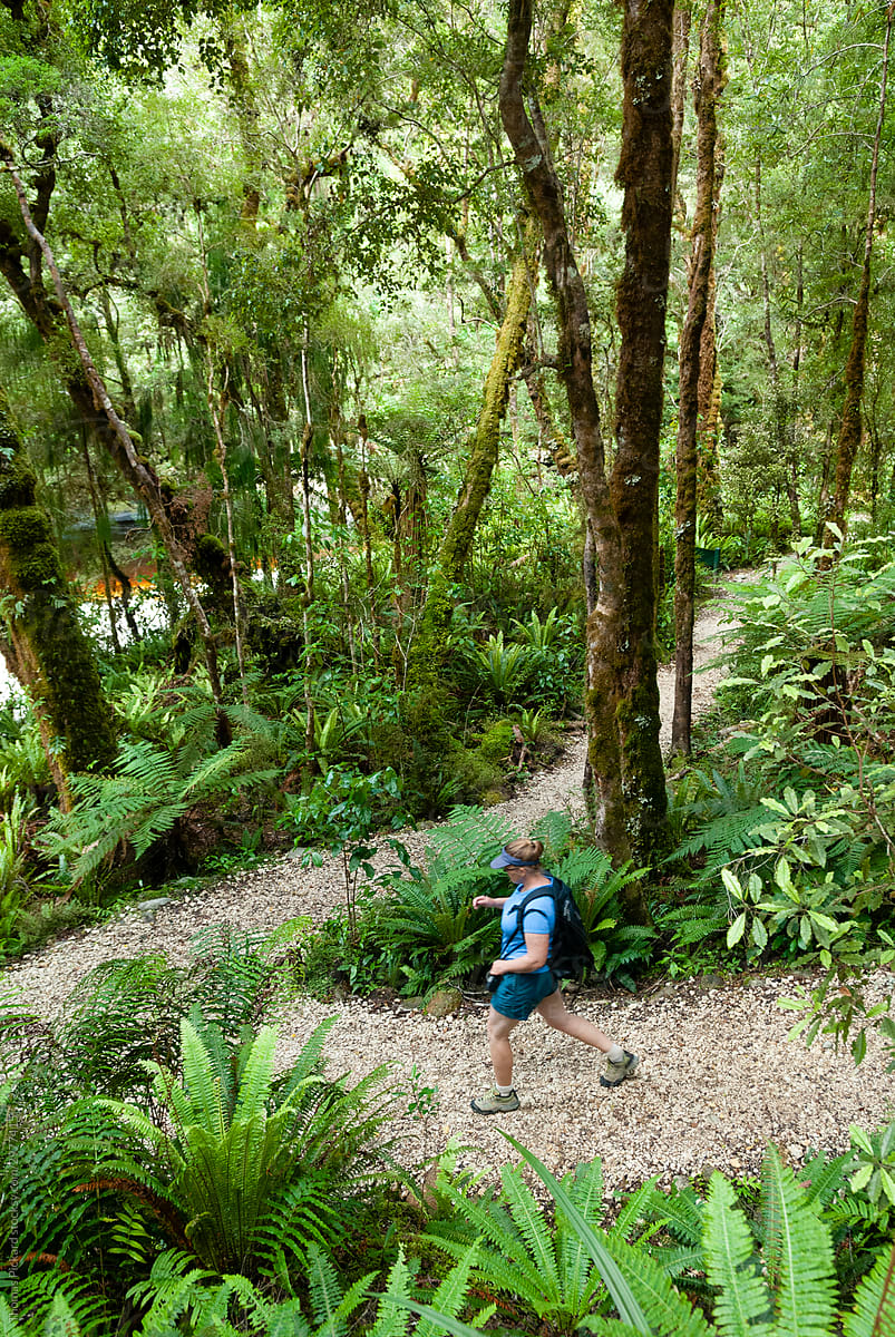 Woman hiking in a forest, West Coast, New Zealand.