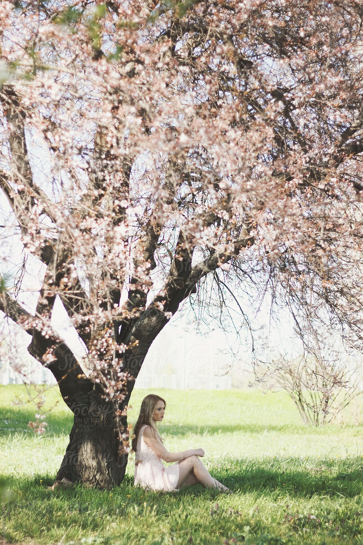 Young woman sitting under a big cherry blossom tree