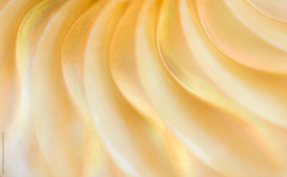 Nautilus shell abstract, closeup