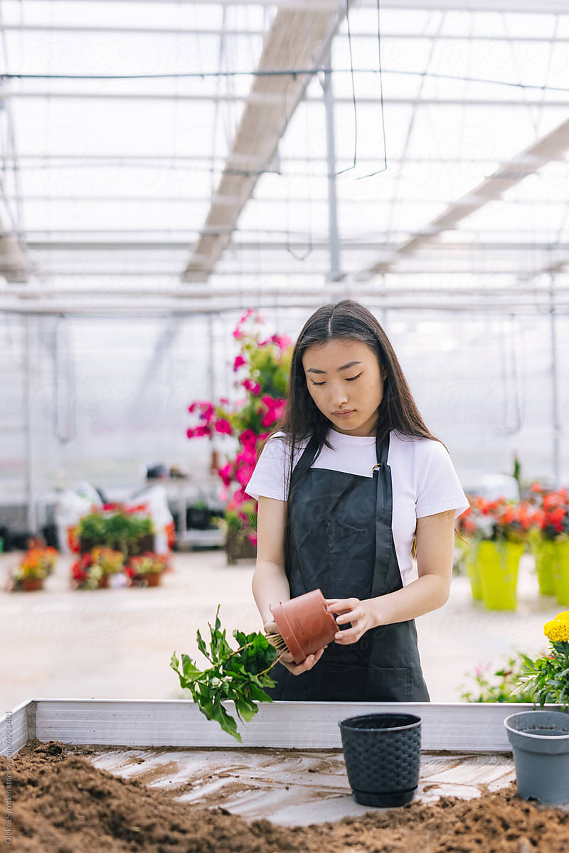 Girl working with plants in garden house