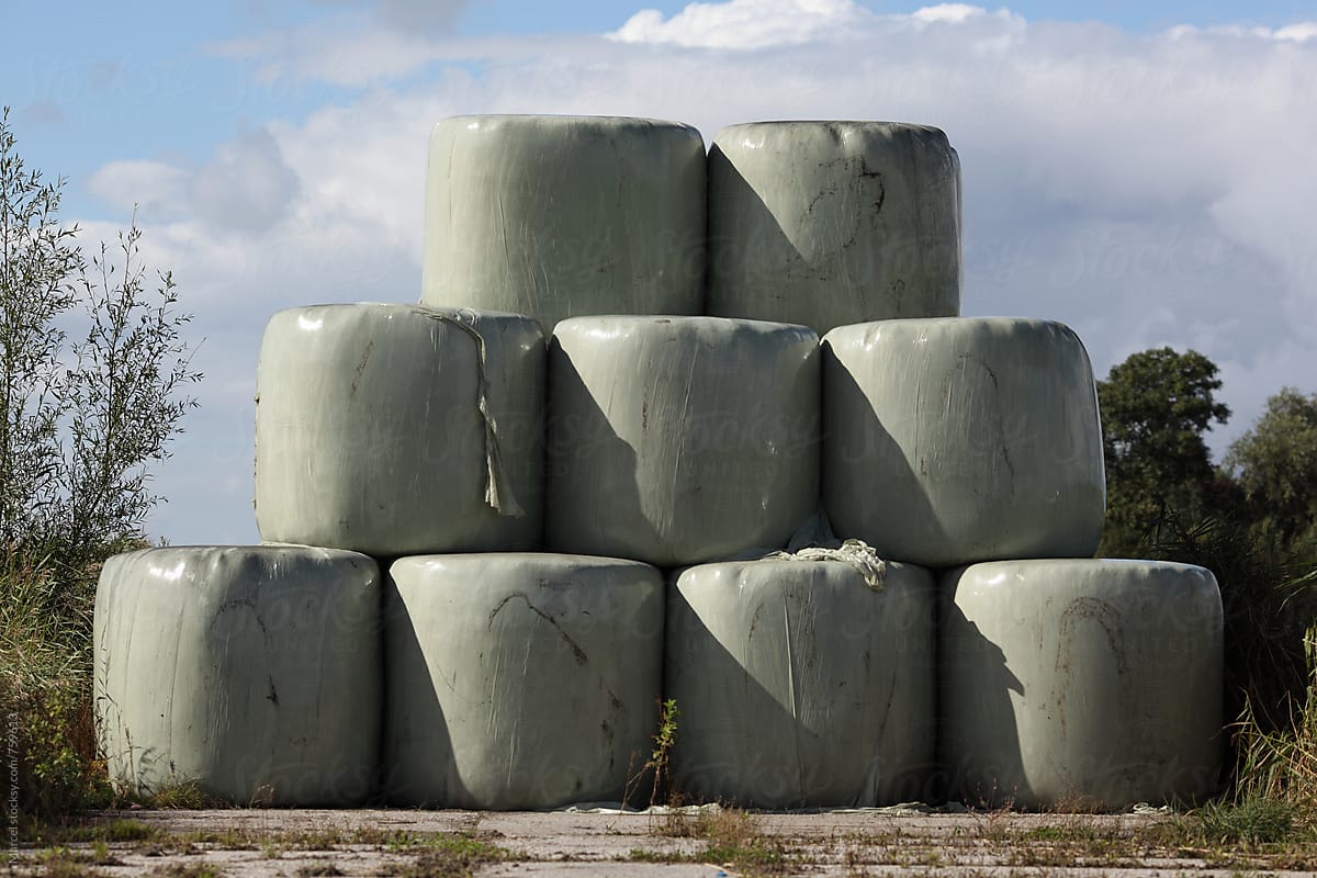 Cow fodder bales on the dutch countryside