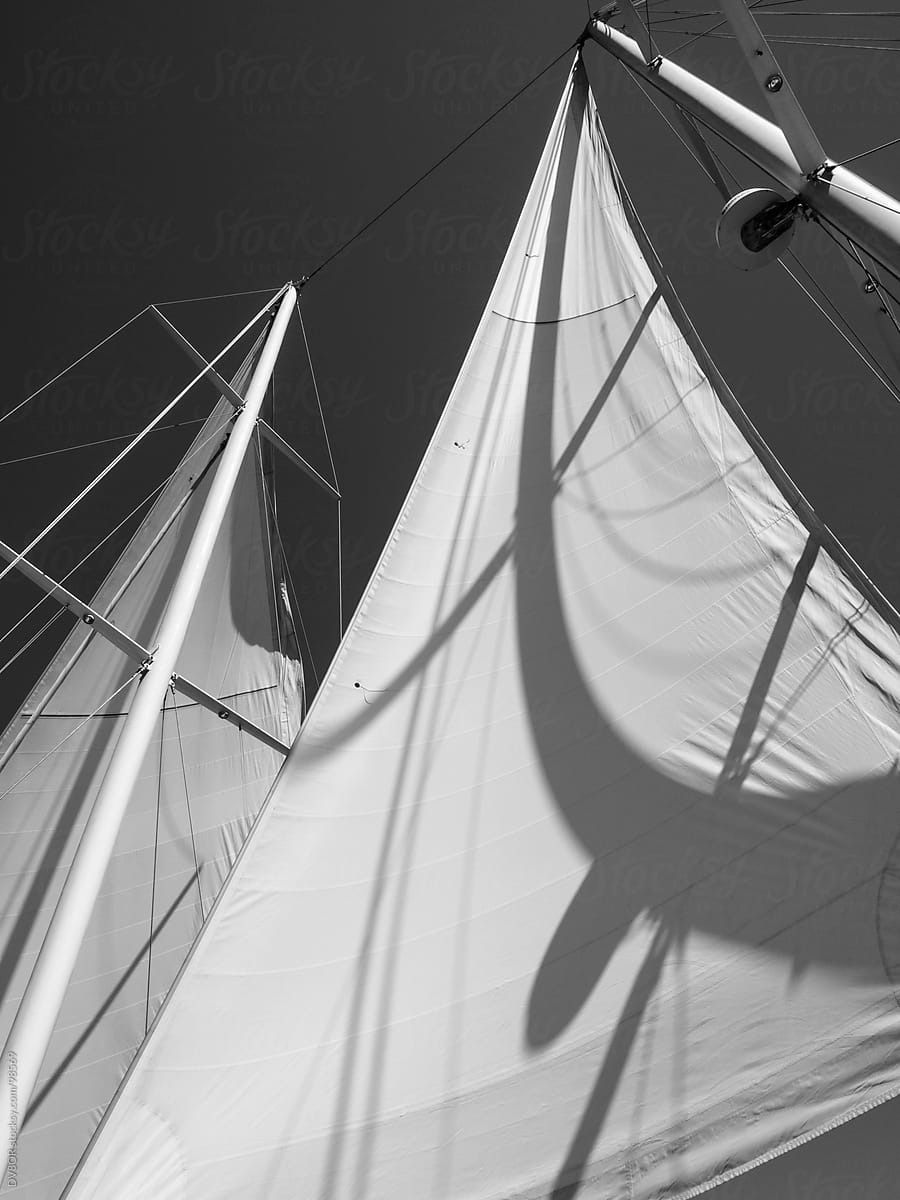 Abstract detail of a sail