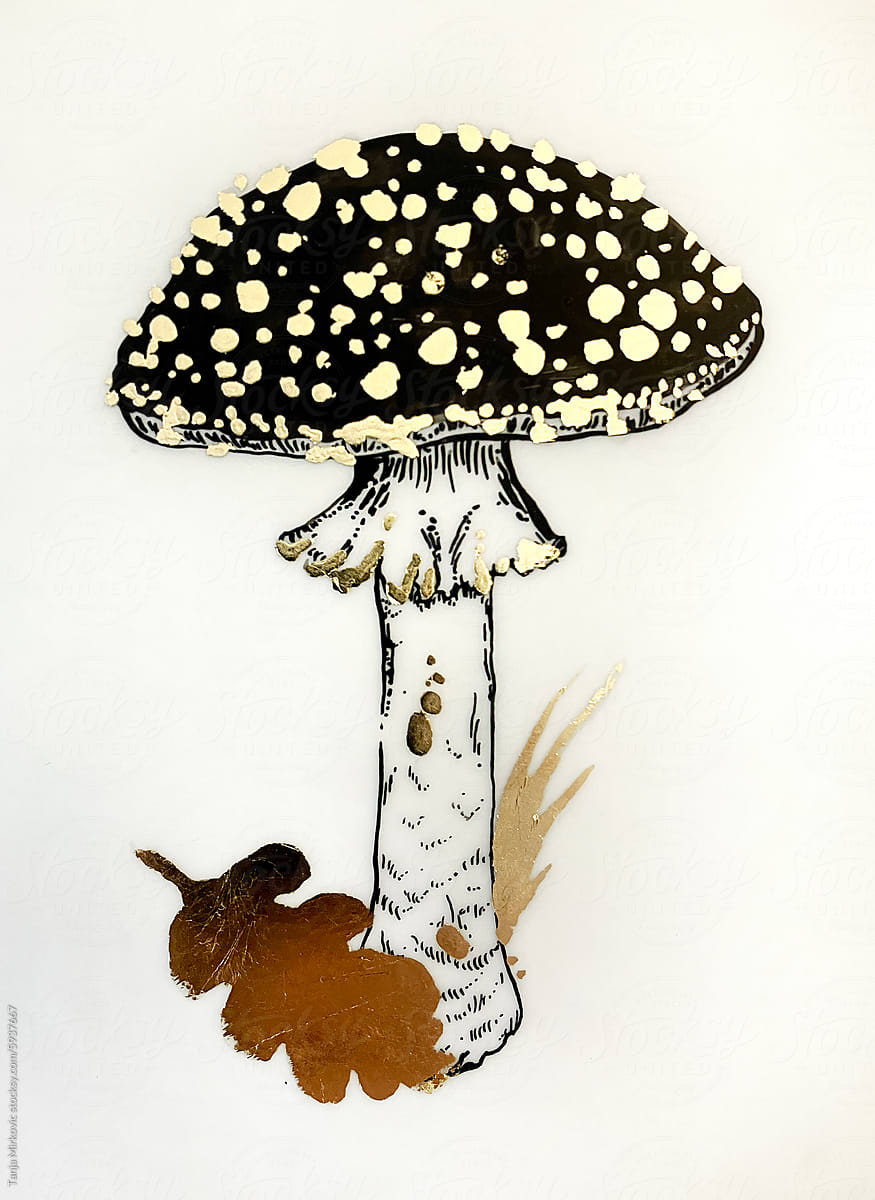 Mushroom Amanita Muscaria drawing