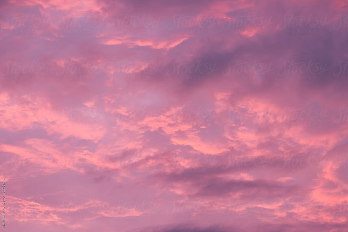 Pink Sunset by Stocksy Contributor Pixel Stories - Stocksy