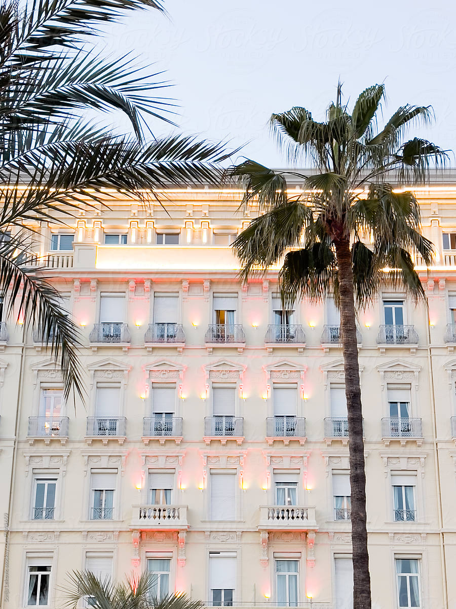 stylish pastel white and pink building facade, palm and light blue sky