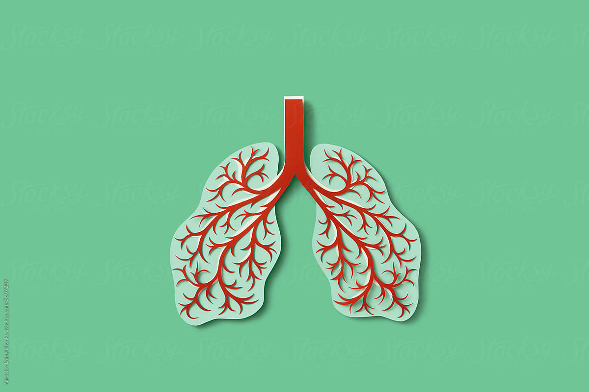 Handmade colored paper human lungs with inflamed bronchi
