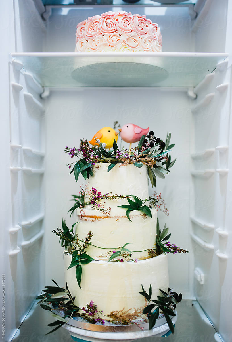 wildflowers and birds wedding cake inside the fridge