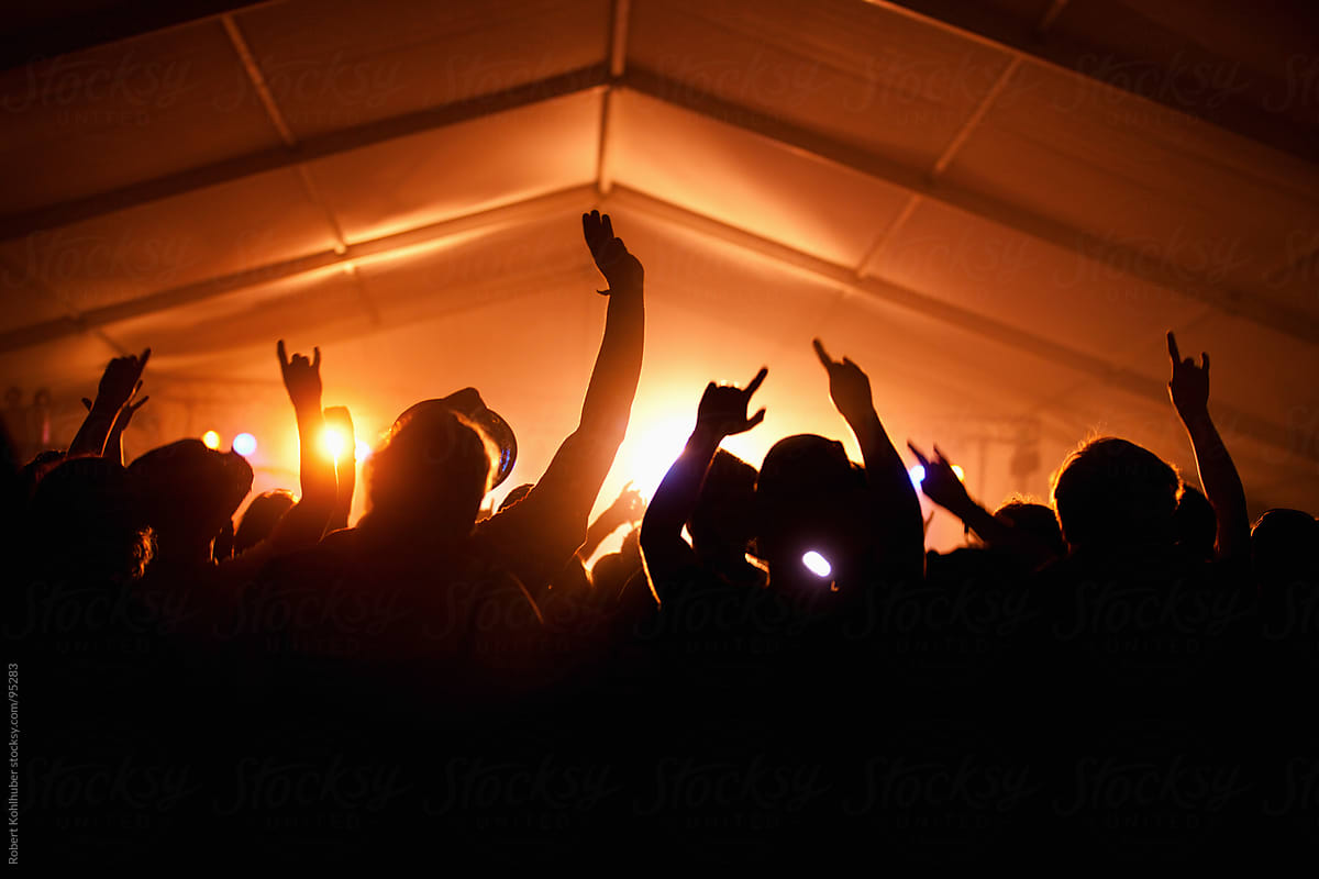 Concert crowd at live music festival