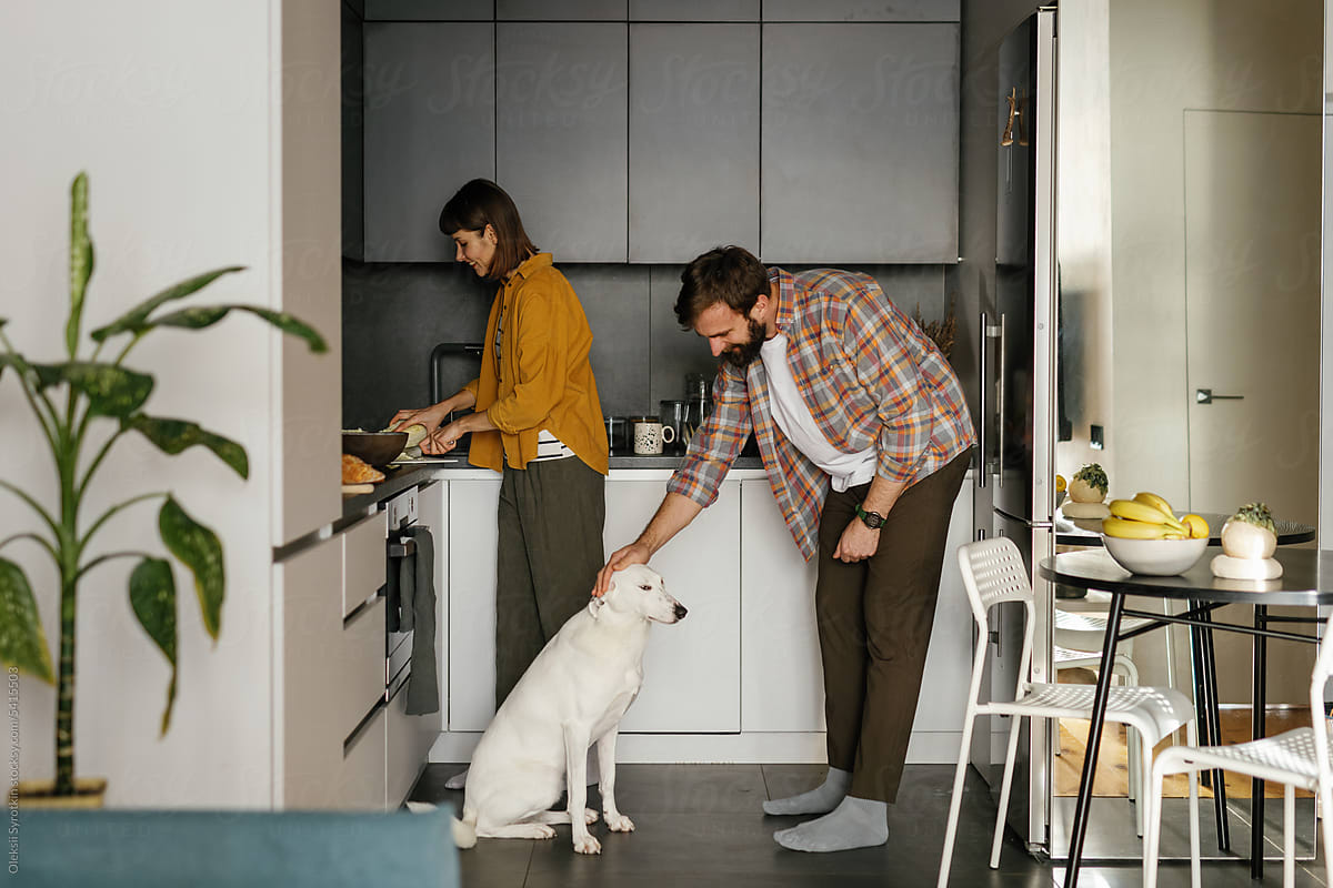 Pedigree animal. Modern family. Casual outfits. Cooking lunch