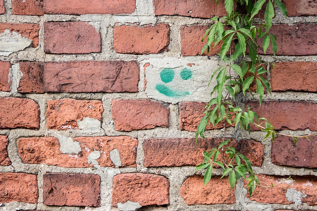 Smiley face sprayed on brickwall with vines
