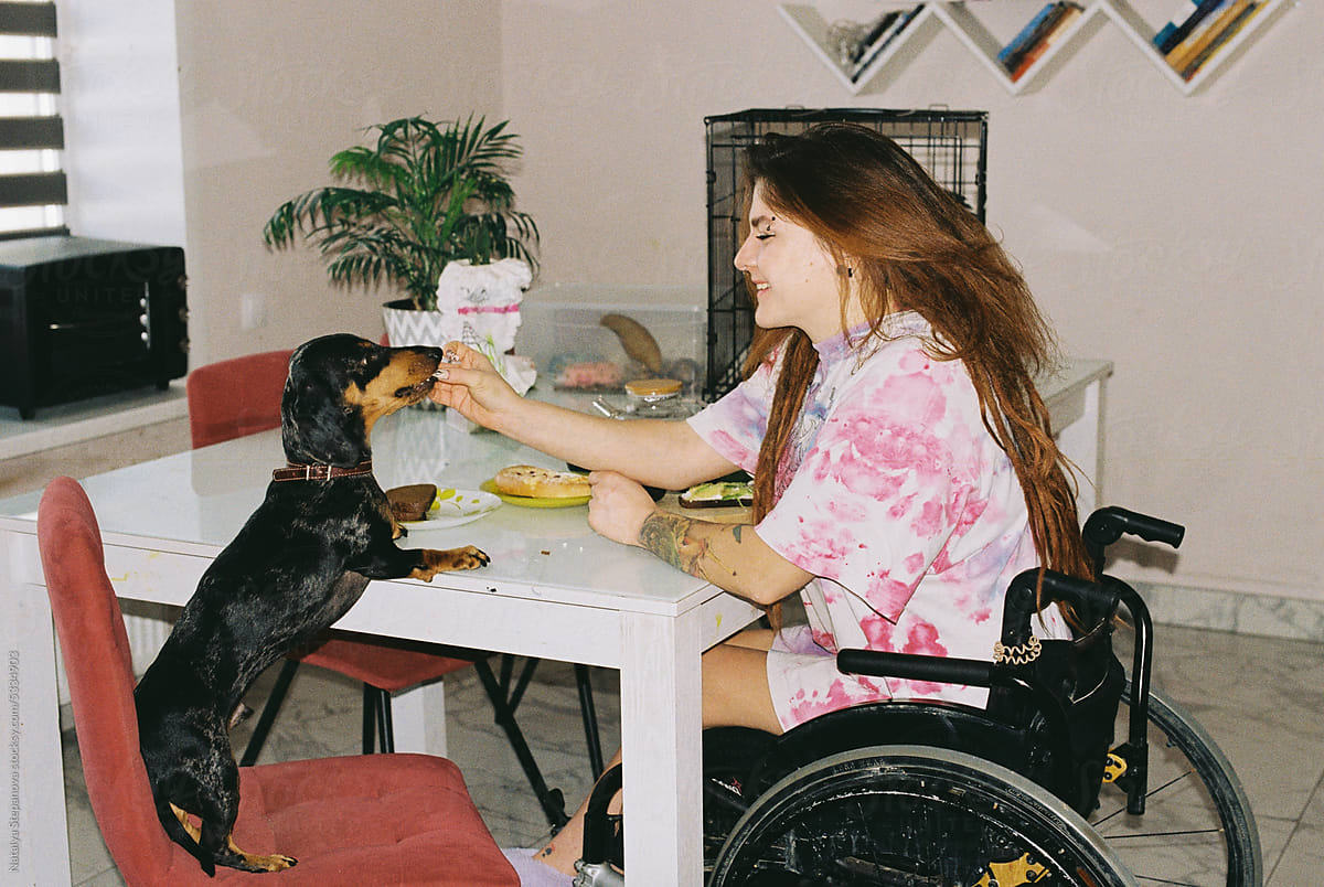 A girl in a wheelchair has breakfast with her dog and feeds it