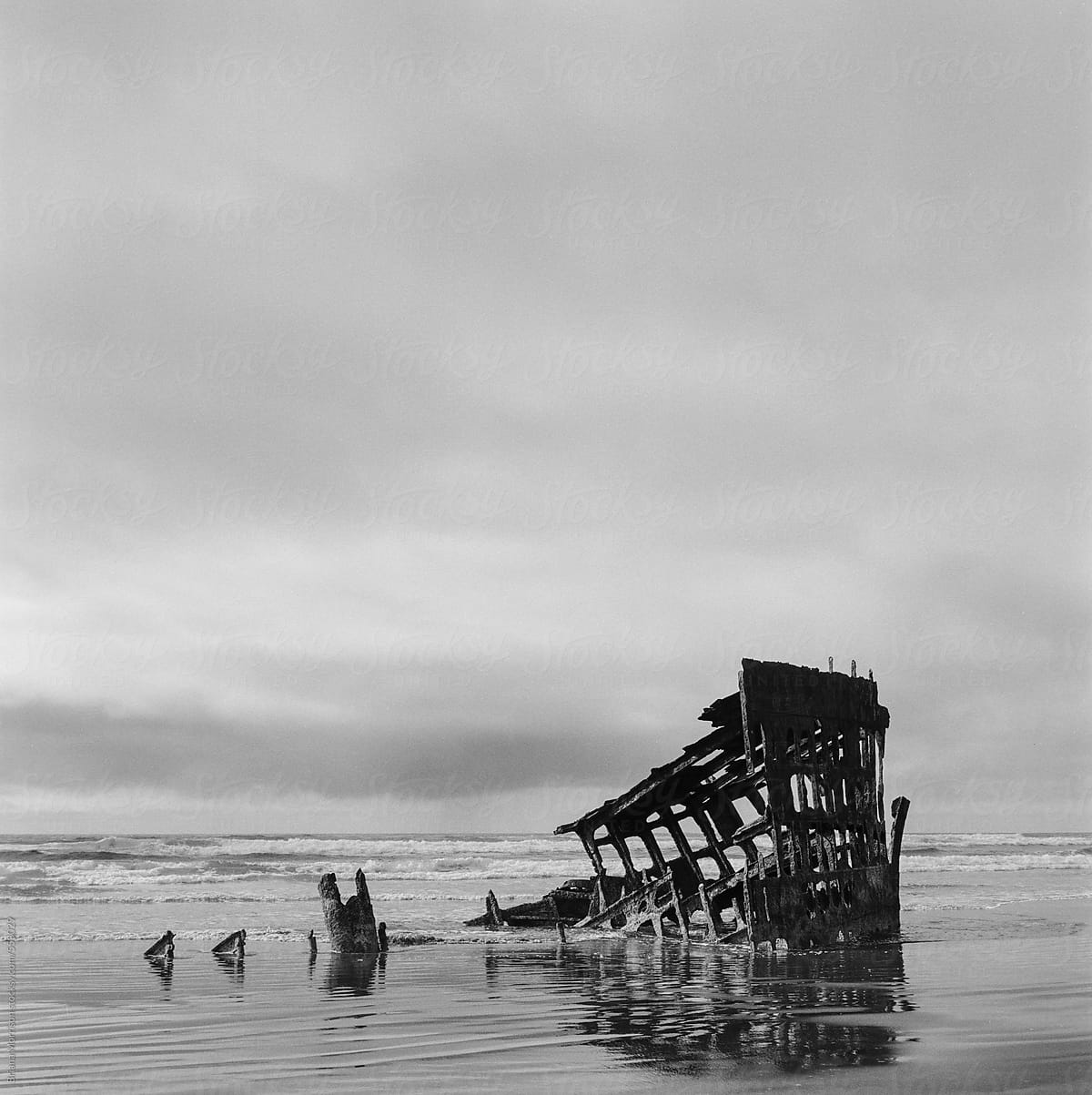 Peter Iredale Shipwreck
